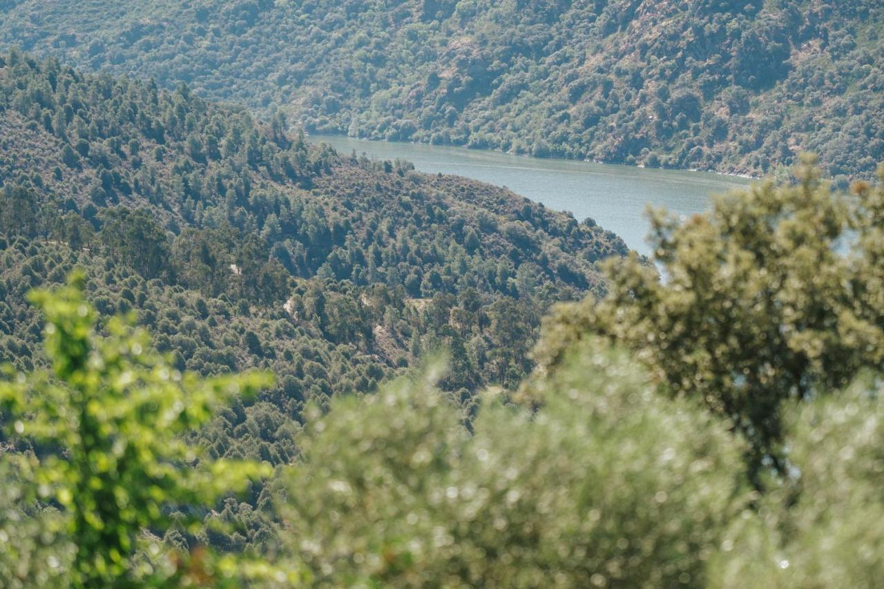 Casa Das Arribas - Rio Douro Aos Seus Pes Bemposta  Exteriér fotografie