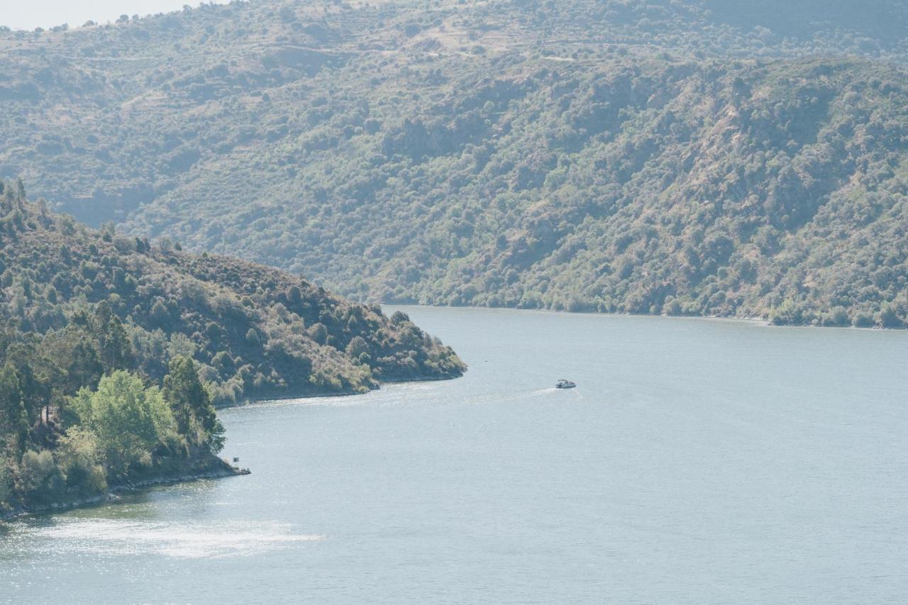 Penzion Casa Das Arribas - Rio Douro Aos Seus Pes Bemposta  Exteriér fotografie